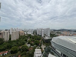 The Rochester Residences (D5), Apartment #480868661